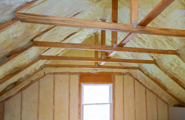  Fuller Heights, FL Insulation Contractor Pros