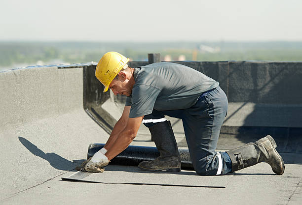 Best Insulation for Specific Applications in Fuller Heights, FL