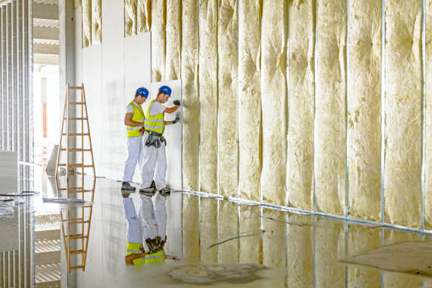 Best Insulation Maintenance and Repair in Fuller Heights, FL